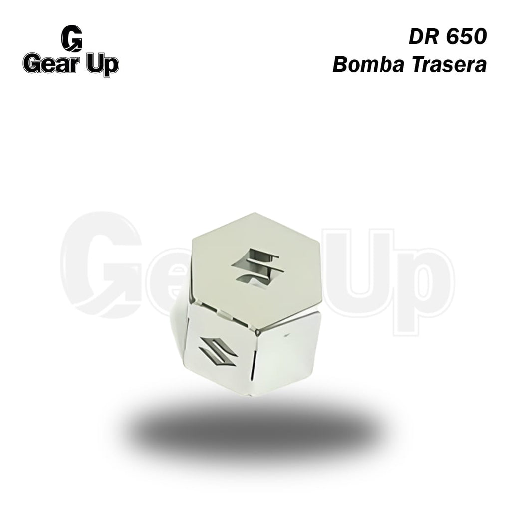 Protector Bomba Trasera DR650