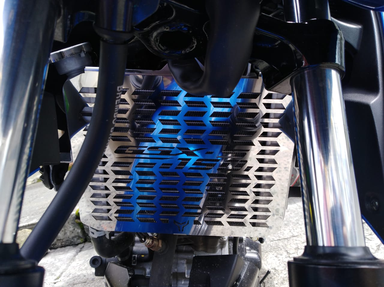GSX-S 150 - Protector de Radiador
